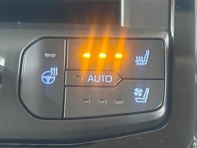 صورة مصغرة 50 لـ 2024 Toyota LAND CRUISER 300
