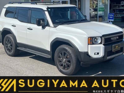 TOYOTA LAND CRUISER - 1