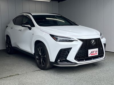 2022 Lexus NX — фото 4