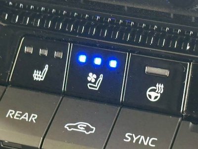 TOYOTA LAND CRUISER 250 - 7