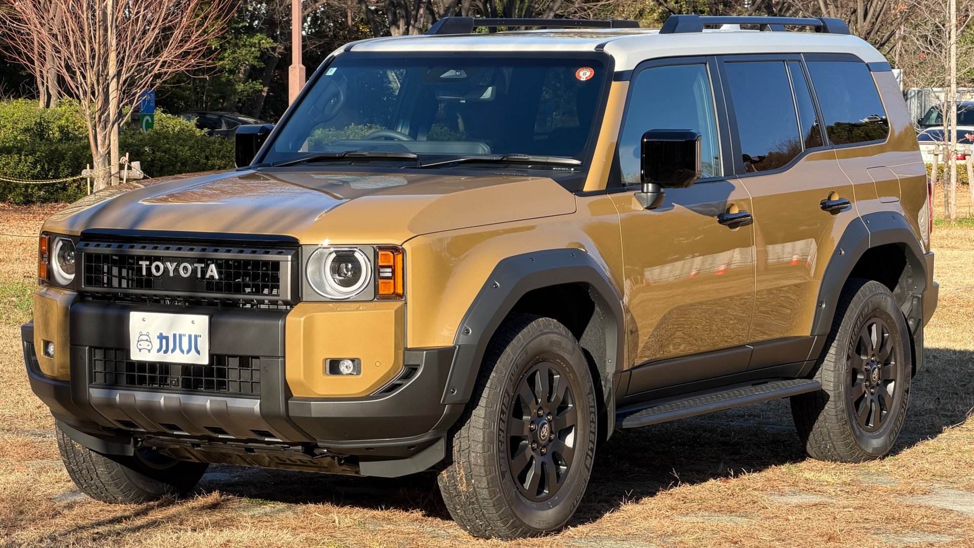 TOYOTA LAND CRUISER 250 - View 1