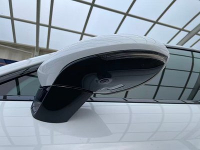 2020 Porsche PANAMERA 缩略图 49
