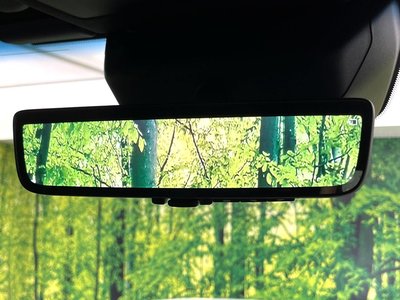 2024 Toyota LAND CRUISER 250 thumbnail 32