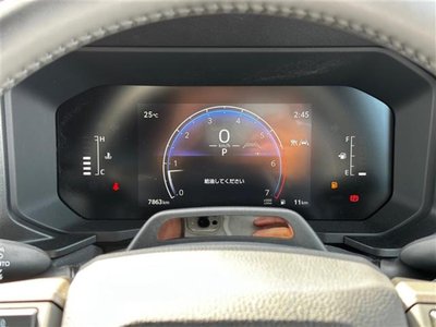 TOYOTA LAND CRUISER 250 - 10