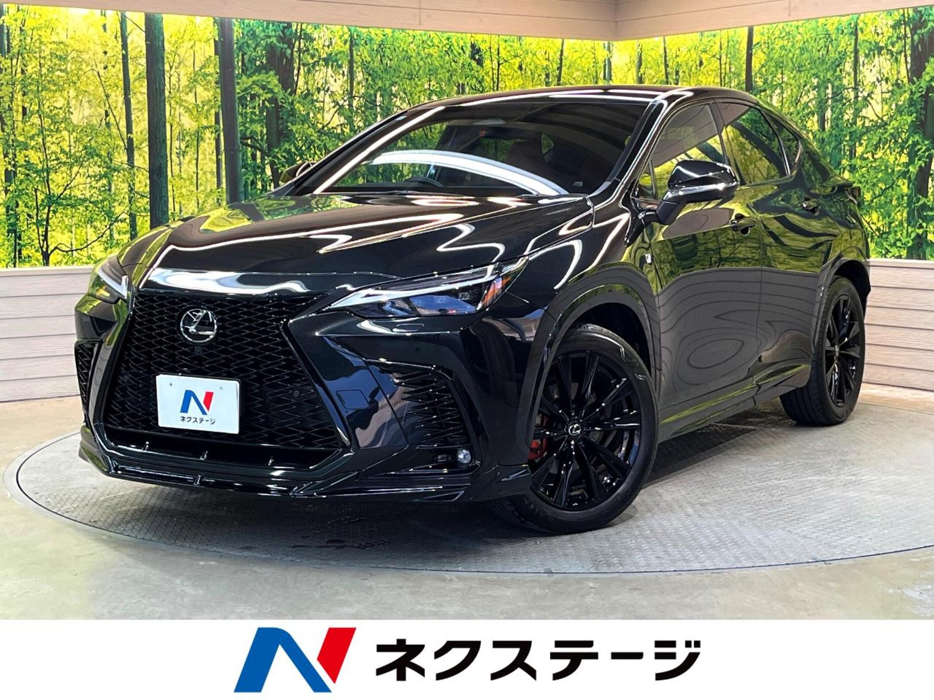 LEXUS NX - View 1
