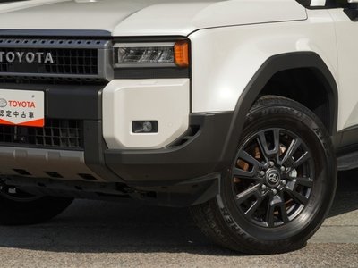 2024 Toyota LAND CRUISER 250 — миниатюра 25