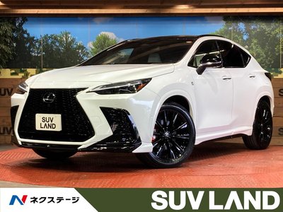LEXUS NX - 1