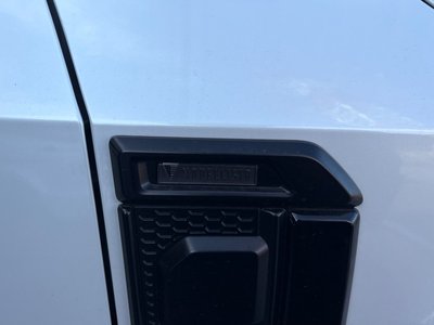 TOYOTA LAND CRUISER 250 - 6