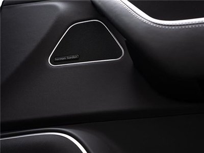 2023 Maserati MASERATI LEVANTE 照片 8