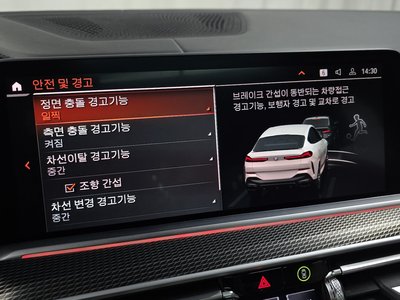 2022 BMW X6 缩略图 22