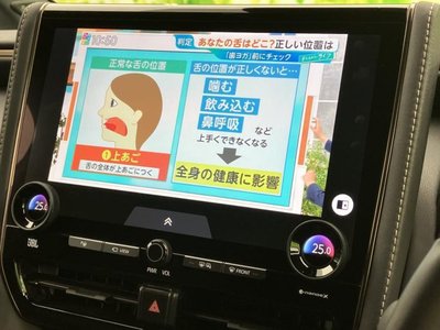 2025 TOYOTA ALPHARD 缩略图 13