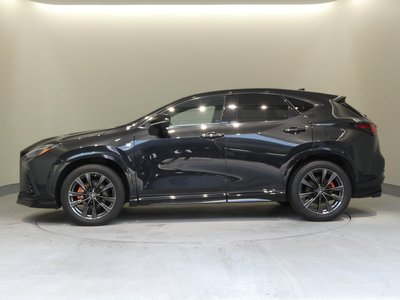 2022 Lexus NX 缩略图 18