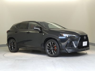 2022 Lexus NX 缩略图 45