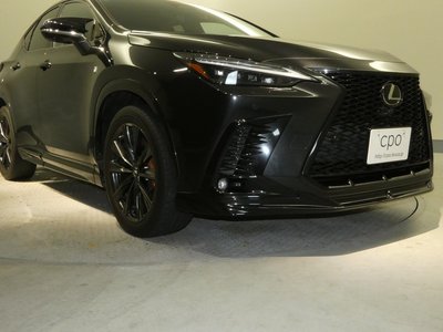 2022 Lexus NX 缩略图 59