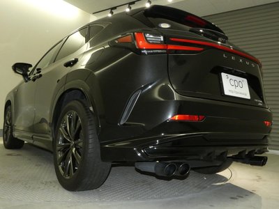 2022 Lexus NX 缩略图 60