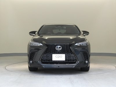 2022 Lexus NX 缩略图 38