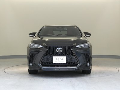 2022 Lexus NX 缩略图 16