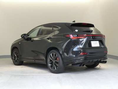 2022 Lexus NX 缩略图 19