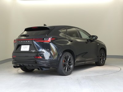 2022 Lexus NX 缩略图 43