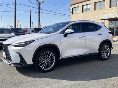 LEXUS NX - 6