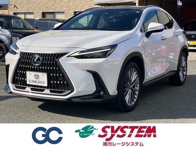 LEXUS NX - 1