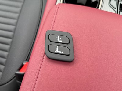 LEXUS RX F SPORT - 9