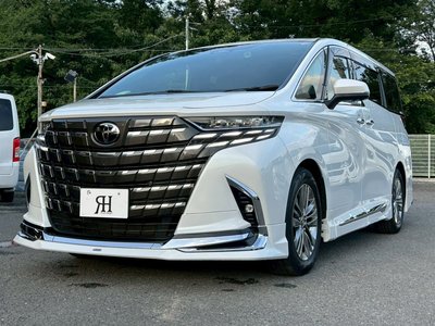 2024 Toyota ALPHARD 缩略图 16