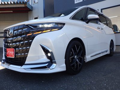 2024 Toyota ALPHARD — фото 8