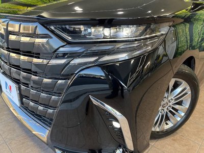 2025 Toyota ALPHARD thumbnail 13