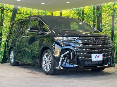 2025 Toyota ALPHARD thumbnail 17