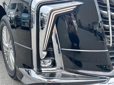 2021 Toyota ALPHARD — фото 9
