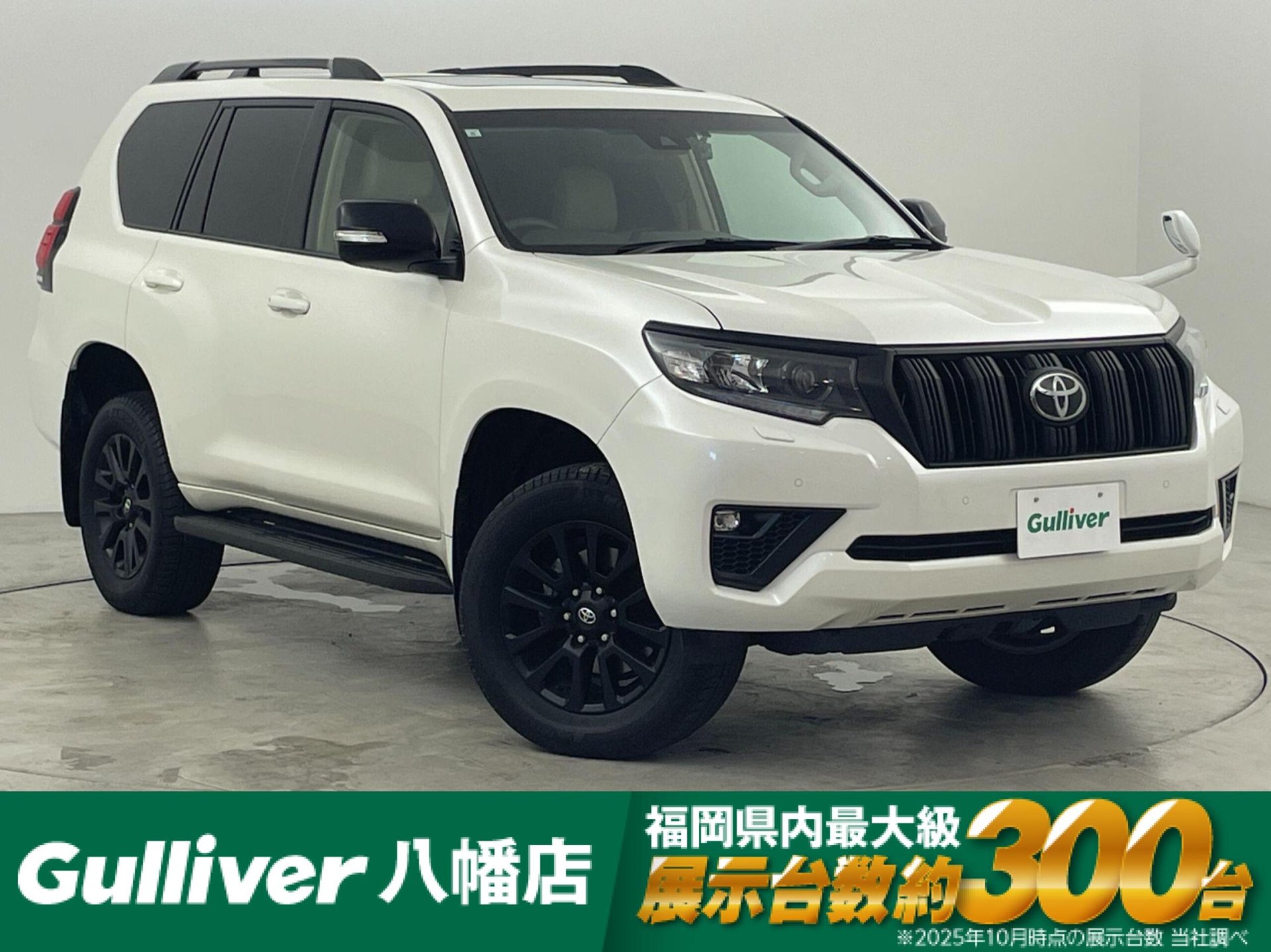 TOYOTA LAND CRUISER PRADO - View 1