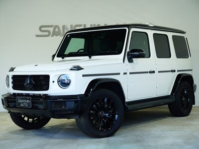 MERCEDES-BENZ G-CLASS