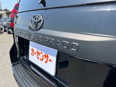 2023 Toyota LAND CRUISER PRADO 照片 14