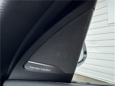 صورة مصغرة 29 لـ 2021 BMW X4 M