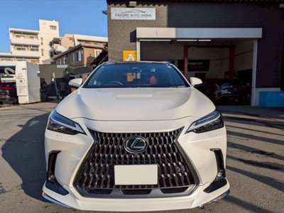 LEXUS NX - 9