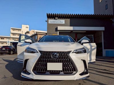 LEXUS NX - 10