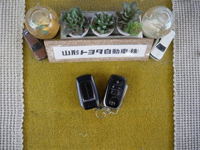 صورة 36 لـ 2021 Toyota ALPHARD