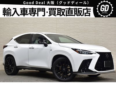 LEXUS NX - 1