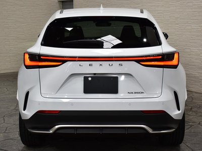 LEXUS NX - 9