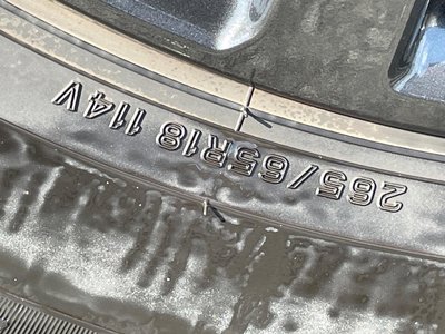 2026 Toyota LAND CRUISER 250 thumbnail 27