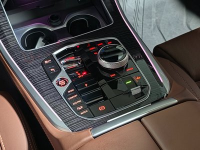 2024 BMW X5 照片 9