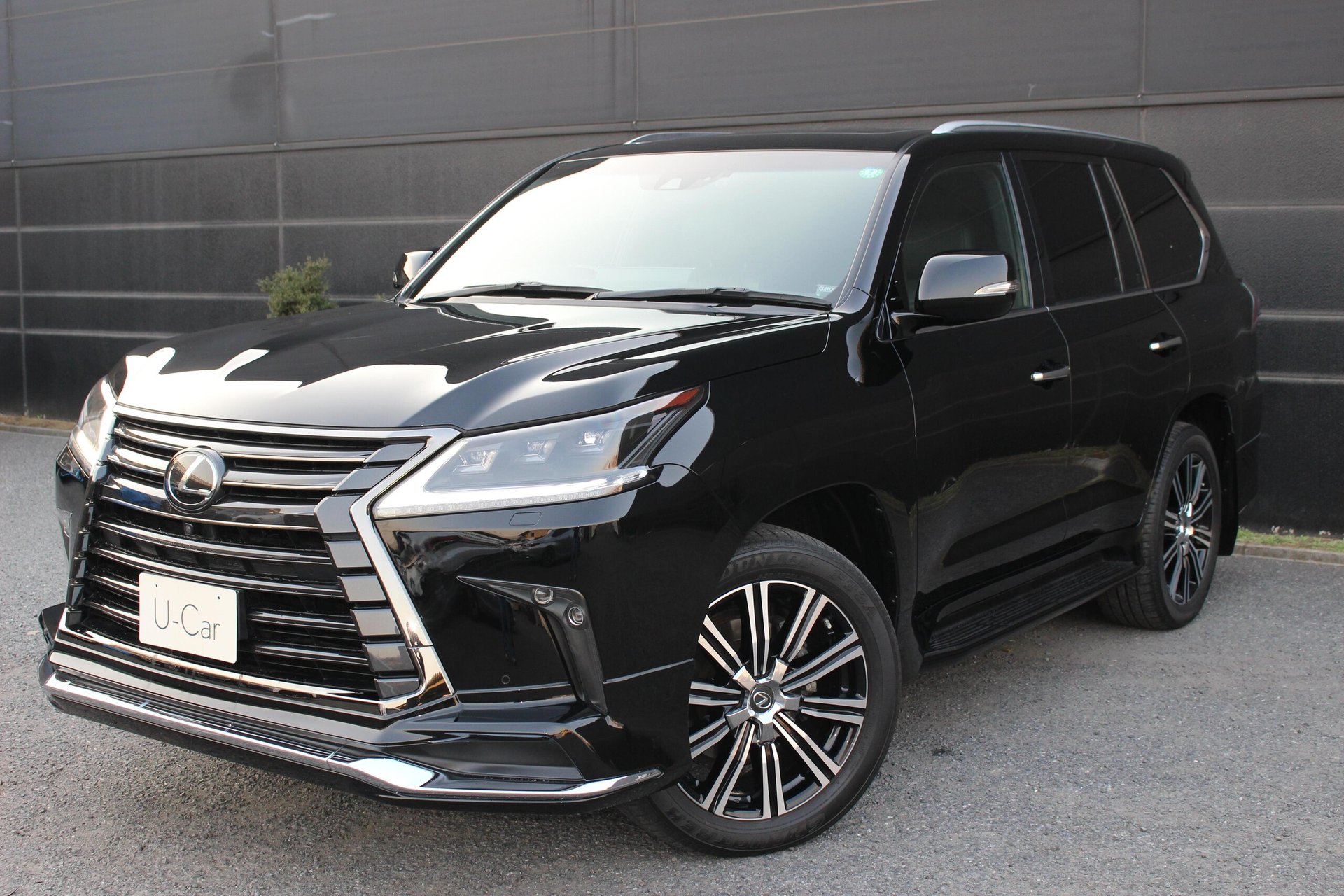LEXUS LX - View 1