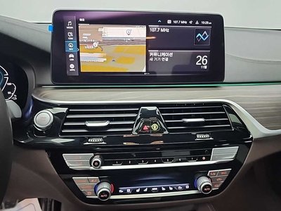 2020 BMW 5 SERIES 照片 10