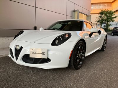 2015 ALFA Romeo 4C 缩略图 13