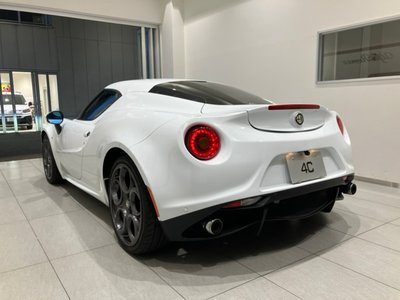 2015 ALFA Romeo 4C 照片 28