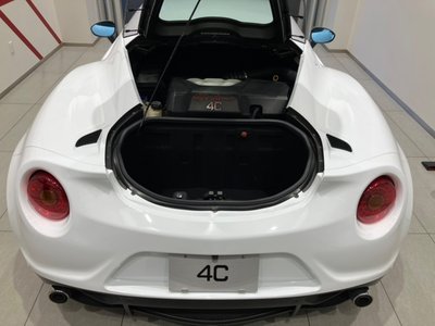 2015 ALFA Romeo 4C 照片 44