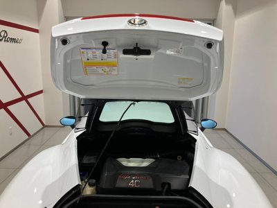 2015 ALFA Romeo 4C 照片 46