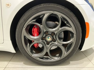 2015 ALFA Romeo 4C 照片 51