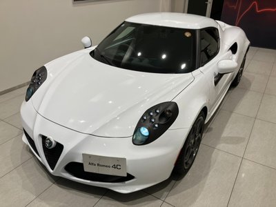 2015 ALFA Romeo 4C 照片 24